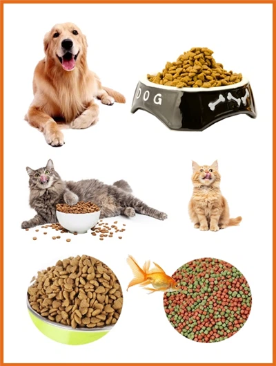 Máquina extrusora de alimentos para mascotas